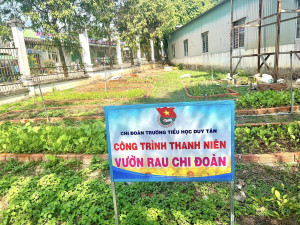 TRƯỜNG TIỂU HỌC DUY TÂN RA MẮT CÔNG TRÌNH THANH NIÊN “ VƯỜN RAU CHI ĐOÀN”